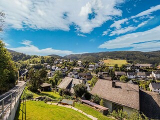 Appartement Willingen Omgeving 32