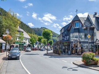 Appartement Willingen Omgeving 29
