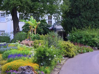 Ferienhaus Waldeck Umgebung 4