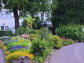 Ferienhaus Waldeck Umgebung 31