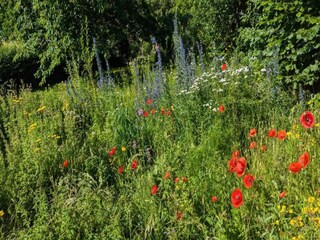 Vakantiehuis Waldeck Omgeving 37