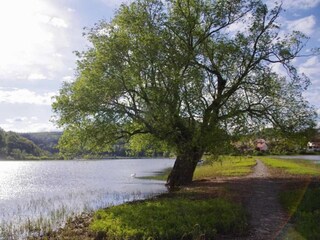 Vakantiehuis Lichtenfels in Hessen Omgeving 37