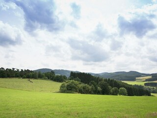 Maison de vacances Lichtenfels in Hessen Environnement 33