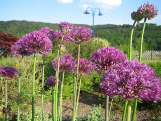 Holiday house Lichtenfels in Hessen Environment 37