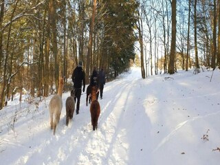 Casa de vacaciones Lichtenfels in Hessen Entorno 30