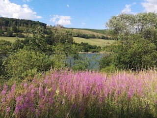 Apartment Diemelsee Umgebung 35