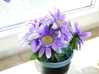 Apartamento Diemelsee  34