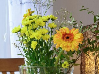 Appartement Diemelsee  36