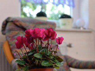 Apartment Diemelsee  39