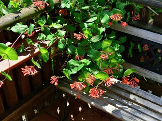 Apartamento Diemelsee  38