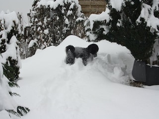 Apartment Diemelsee Außenaufnahme 13