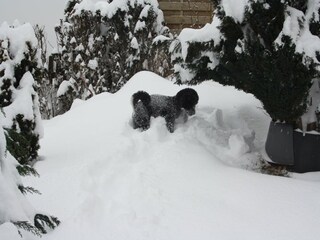 Appartement Diemelsee Enregistrement extérieur 9