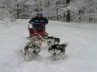 Appartement Diemelsee Environnement 37