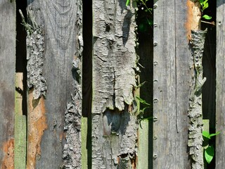 Apartamento Diemelsee  40