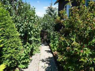 Appartement Diemelsee Buitenaudio-opname 4