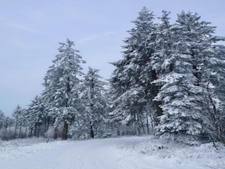 Apartment Diemelsee Umgebung 31