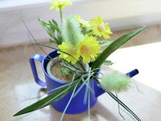 Maison de vacances Diemelsee  40