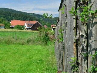 Holiday house Diemelsee  40