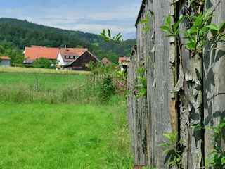 Vakantiehuis Diemelsee  40