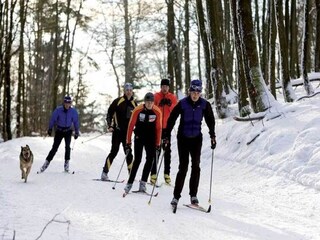 Vakantiehuis Diemelsee Omgeving 34