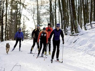Vakantiehuis Diemelsee Omgeving 35