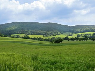 Appartement Bad Zwesten Environnement 24