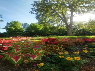 Apartment Bad Zwesten Environment 30