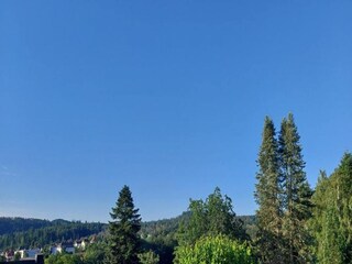 Apartment Bad Zwesten Environment 31