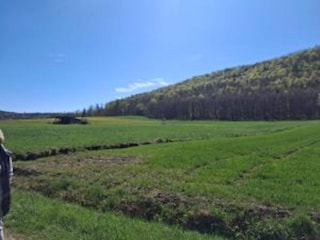 Apartamento Bad Zwesten Entorno 26