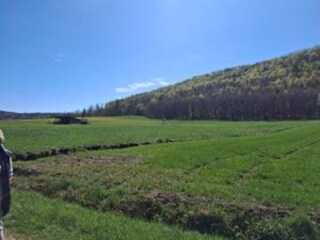 Appartement Bad Zwesten Omgeving 26