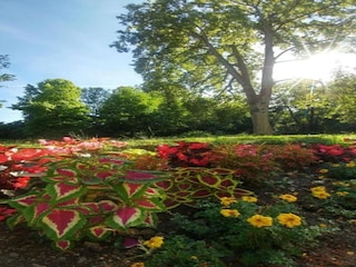 Apartment Bad Zwesten Umgebung 29