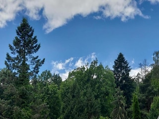 Apartamento Bad Zwesten Entorno 29