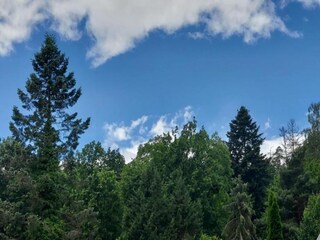 Appartement Bad Zwesten Environnement 29