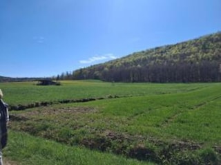 Apartment Bad Zwesten Umgebung 27