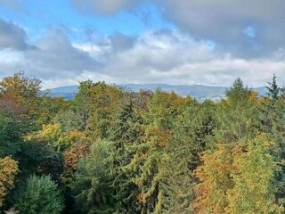 Maison de vacances Homberg an der Efze Environnement 29