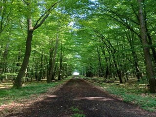 Casa per le vacanze Homberg an der Efze Ambiente 29