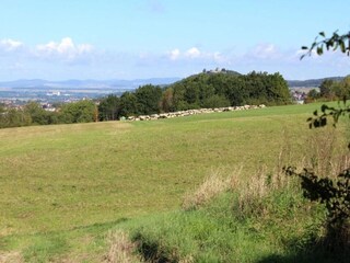 Holiday house Homberg an der Efze Environment 25