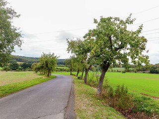 Maison de vacances Bad Wildungen Environnement 37