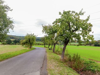 Holiday house Bad Wildungen Environment 36