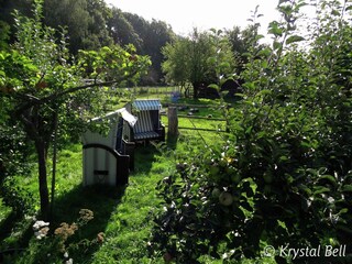 Holiday house Bad Wildungen Outdoor Recording 4