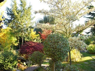 Apartment Bad Zwesten Outdoor Recording 17