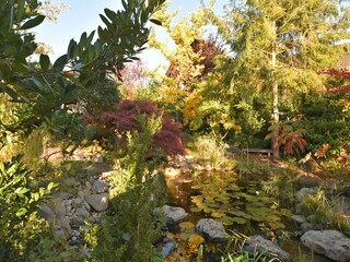 Appartement Bad Zwesten Buitenaudio-opname 9