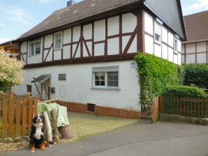 Small apartment in Hesse with terrace and garden - Frielendorf - image1