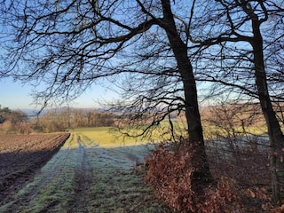 Appartement Frielendorf Environnement 36