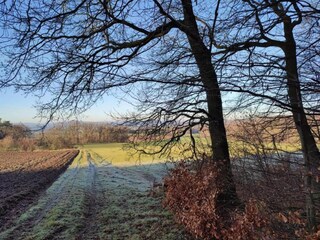 Appartamento Frielendorf Ambiente 34