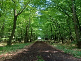 Appartamento Frielendorf Ambiente 38