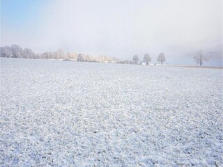 Appartement Jesberg Environnement 40