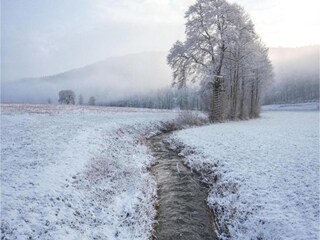 Appartamento Jesberg Ambiente 39