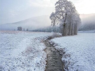 Appartement Jesberg Omgeving 39