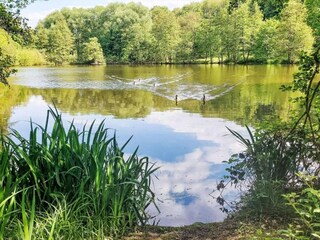 Casa per le vacanze Frankenau Ambiente 37